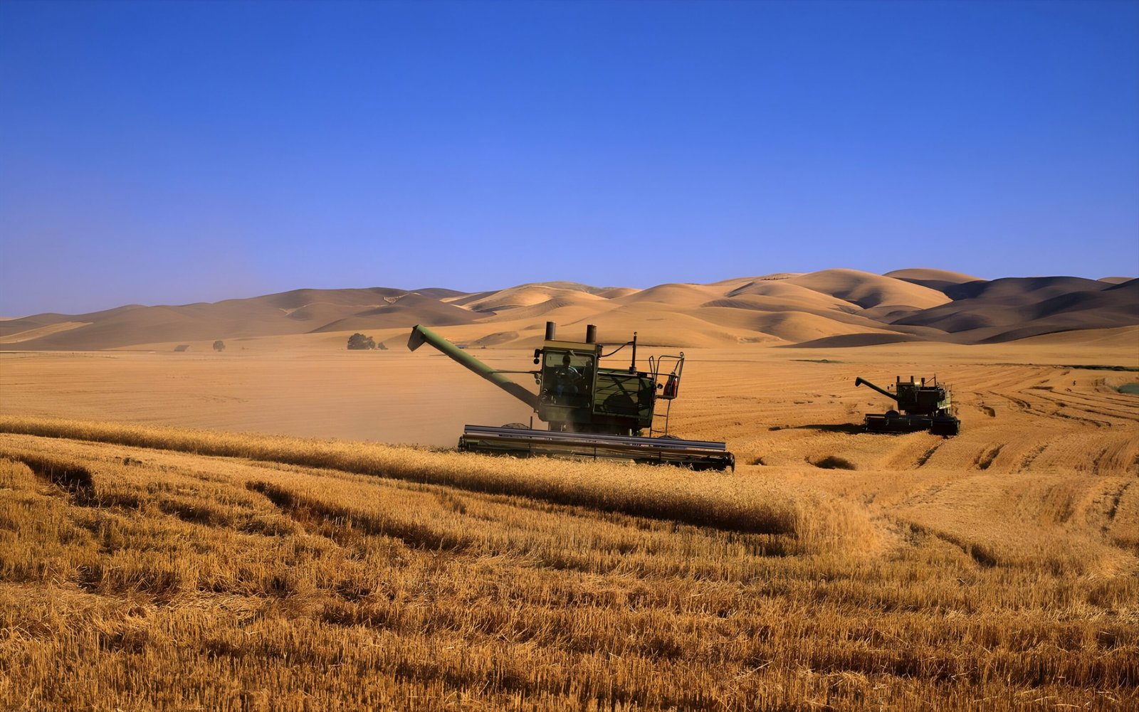 Jinyi-machinery-excavator-attachments